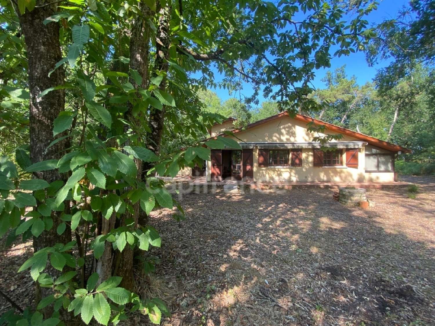  for sale house Lacanau Gironde 2