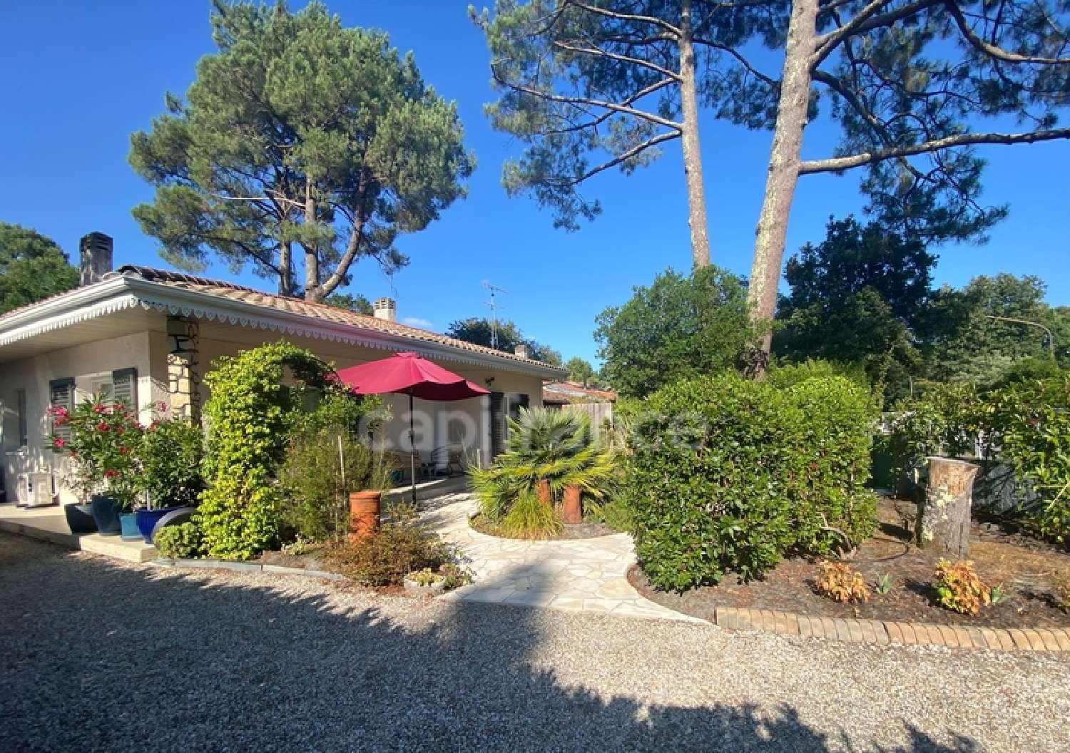 for sale house Lacanau Gironde 2