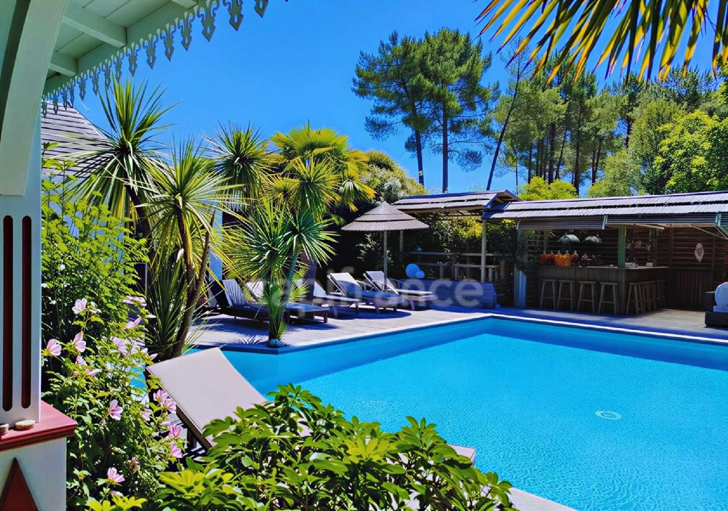  for sale house Lacanau Gironde 6