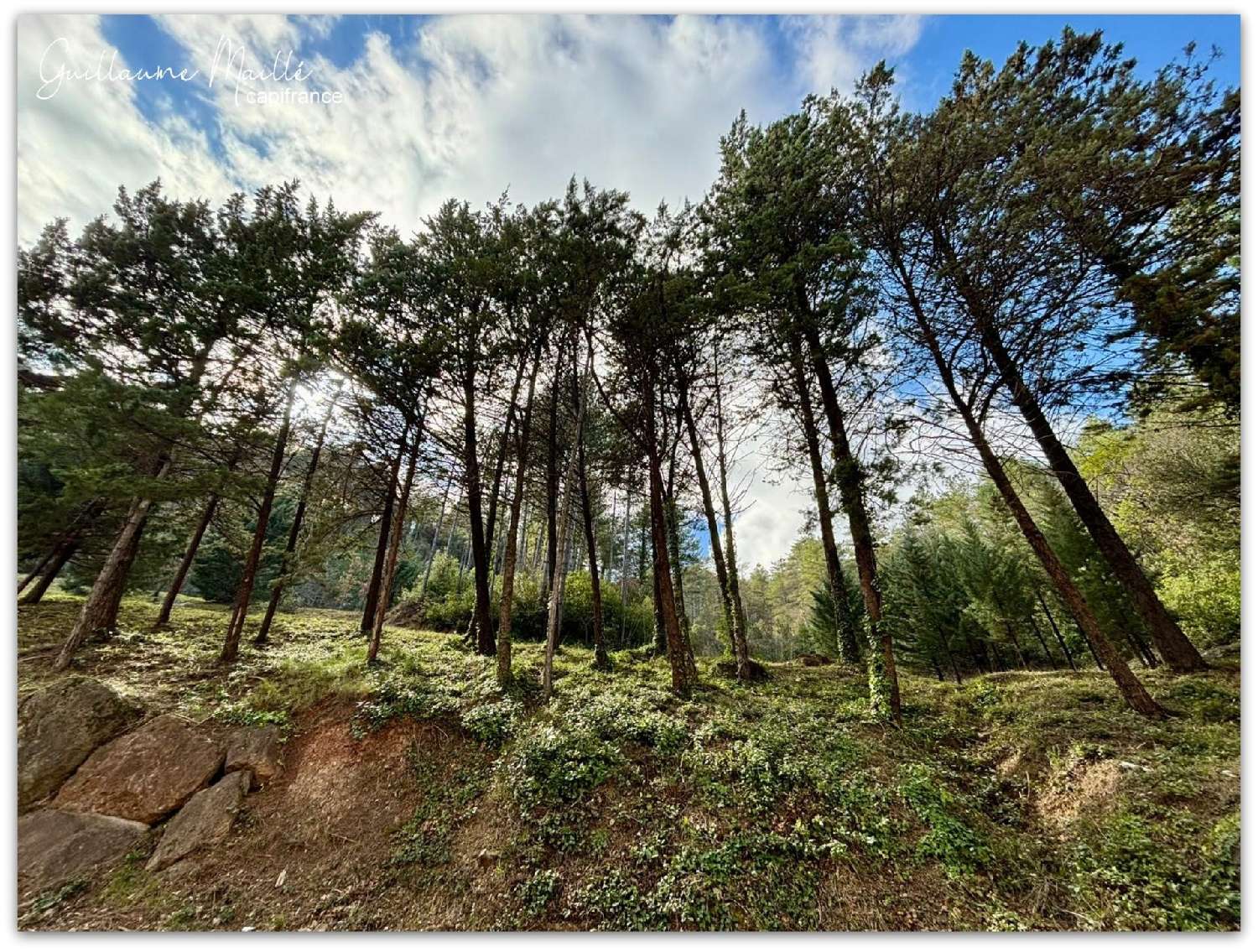 en venta casa Lamalou-les-Bains Hérault 5