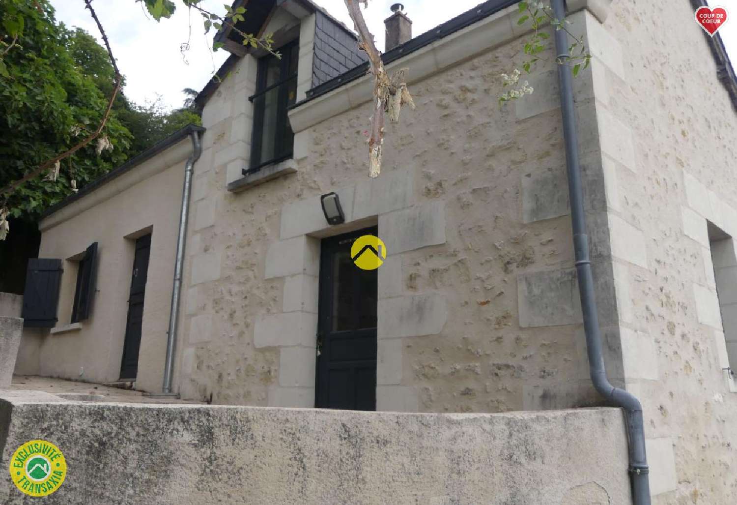 te koop huis Langeais Indre-et-Loire 1