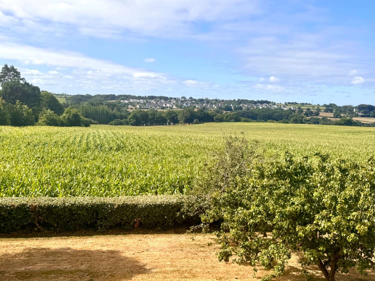 te koop huis Lannilis Finistère 3
