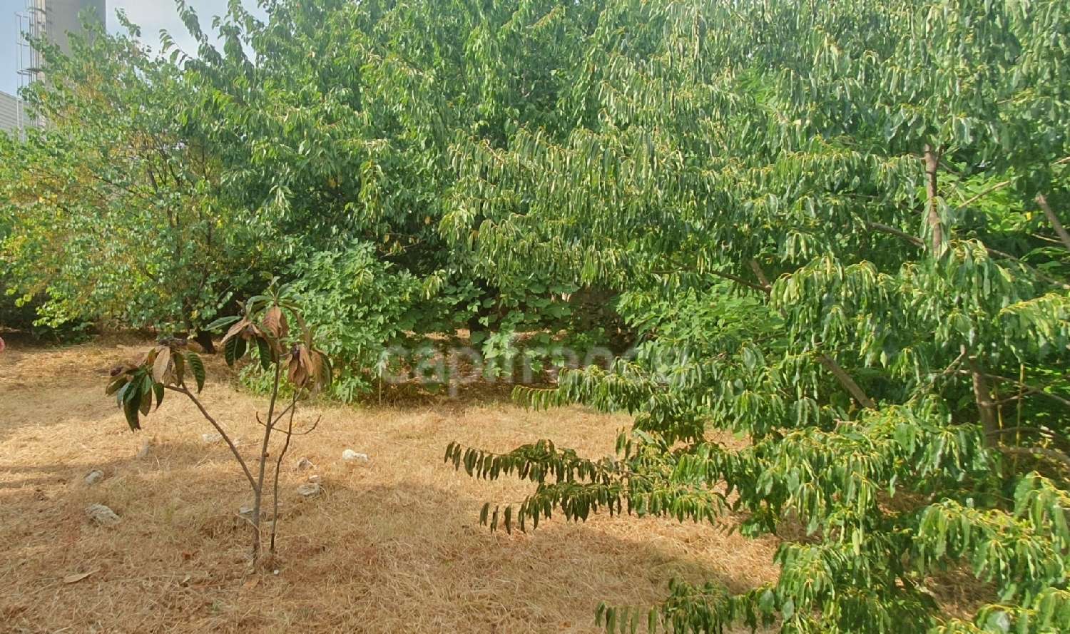  en venta casa Le Bousquet-d'Orb Hérault 6
