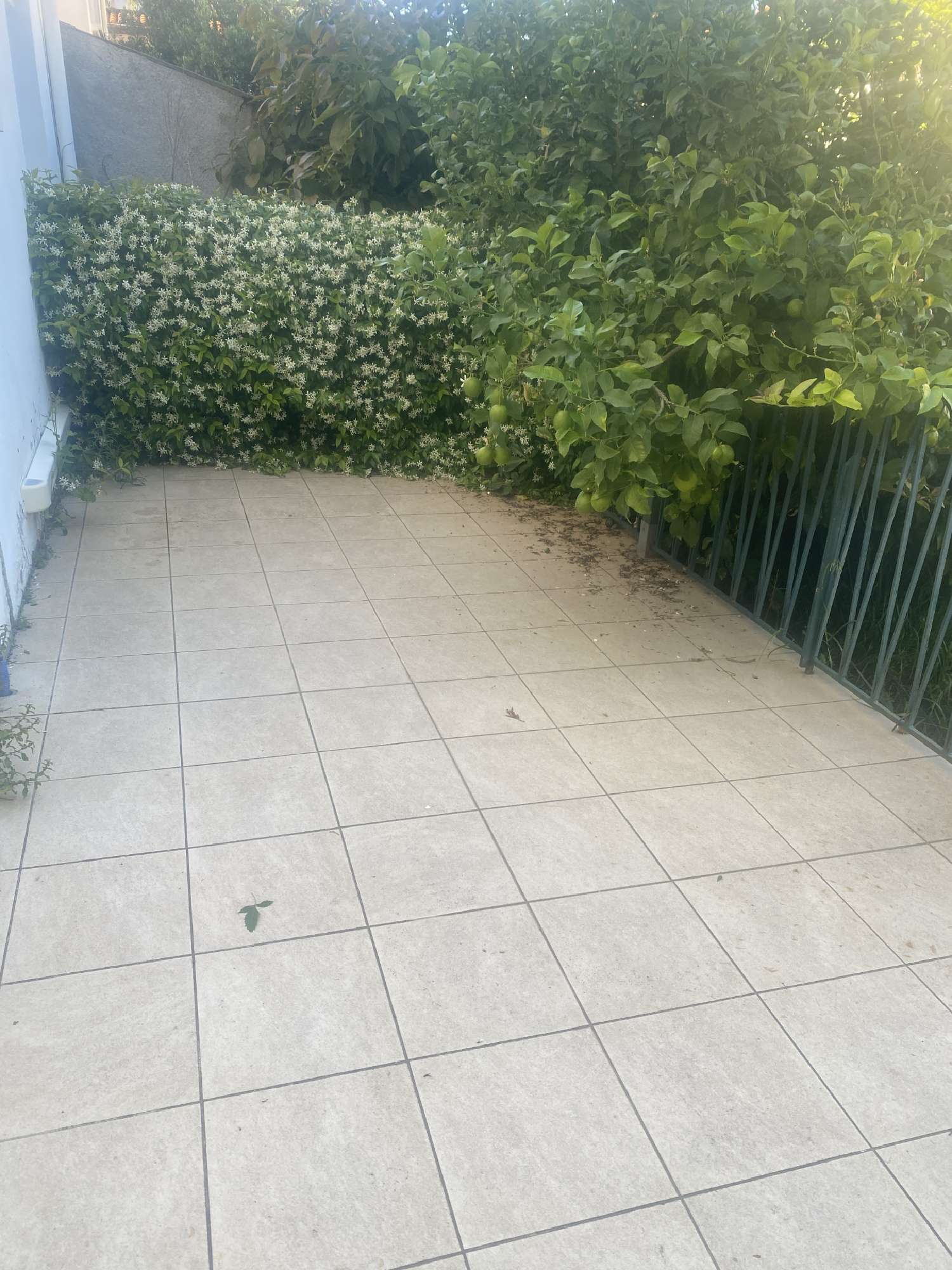 à vendre maison Le Soler Pyrénées-Orientales 3