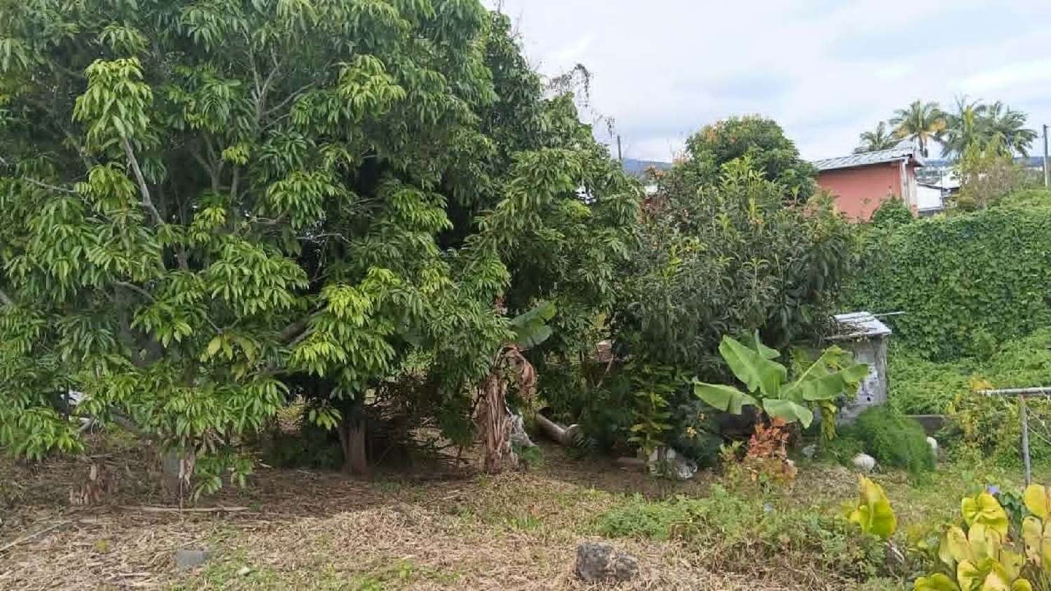  à vendre maison Le Tampon La Réunion 4
