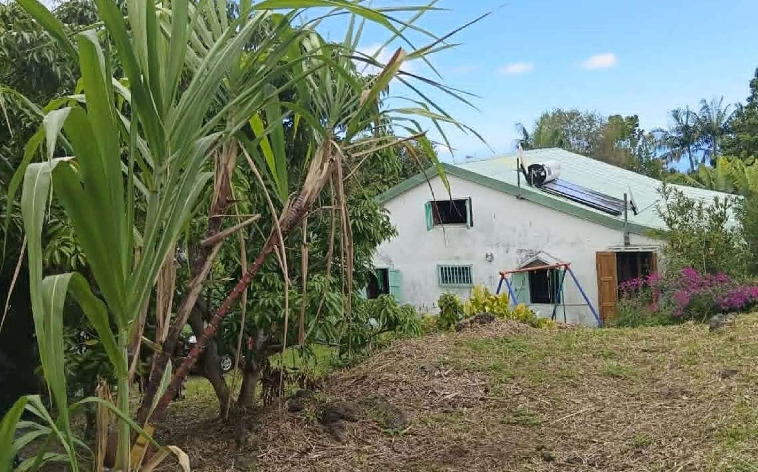  à vendre maison Le Tampon La Réunion 5