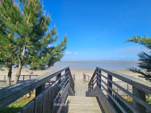 Le Verdon-sur-Mer Gironde Haus Bild 7389421