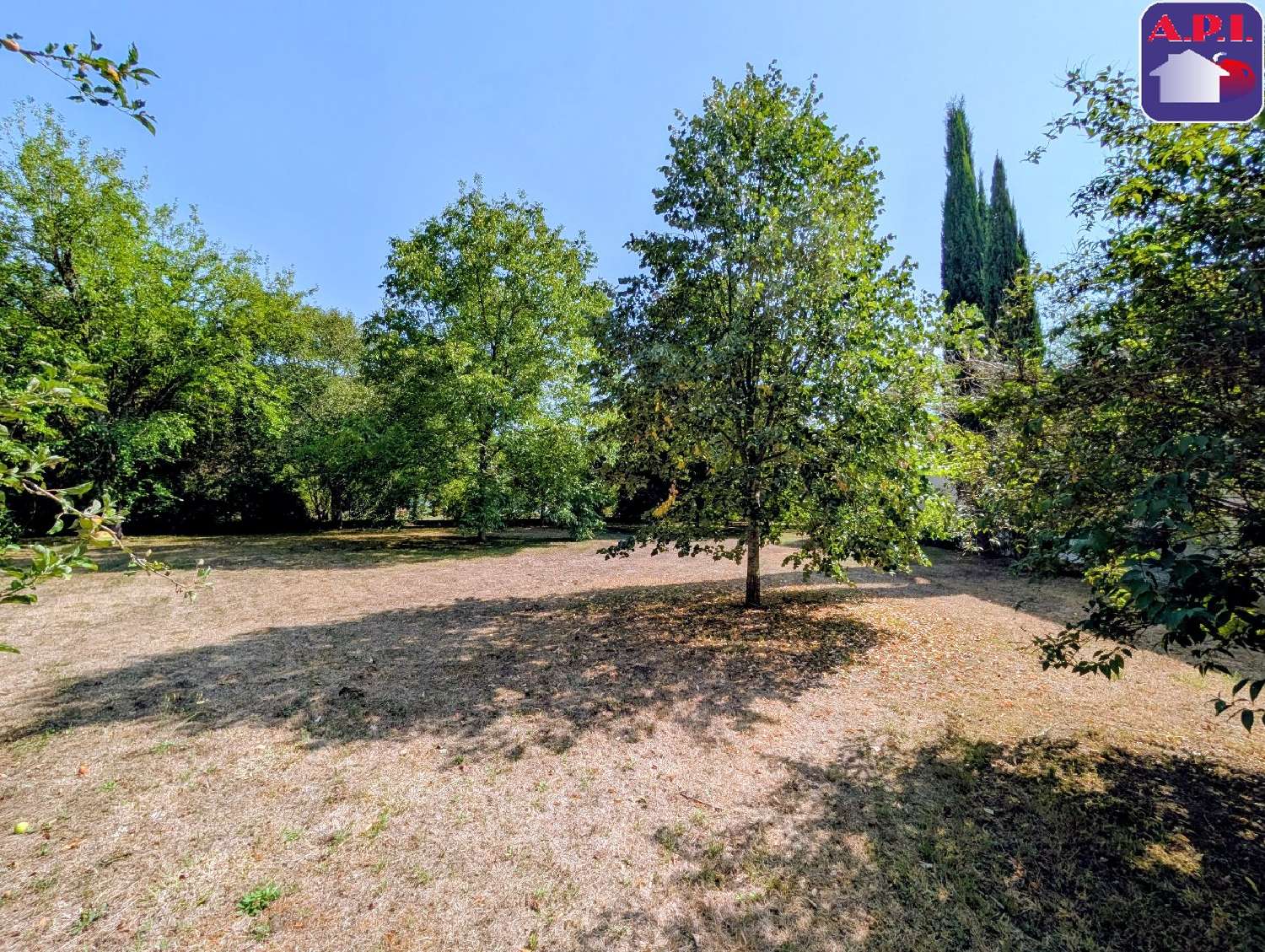 à vendre maison Lesparrou Ariège 4