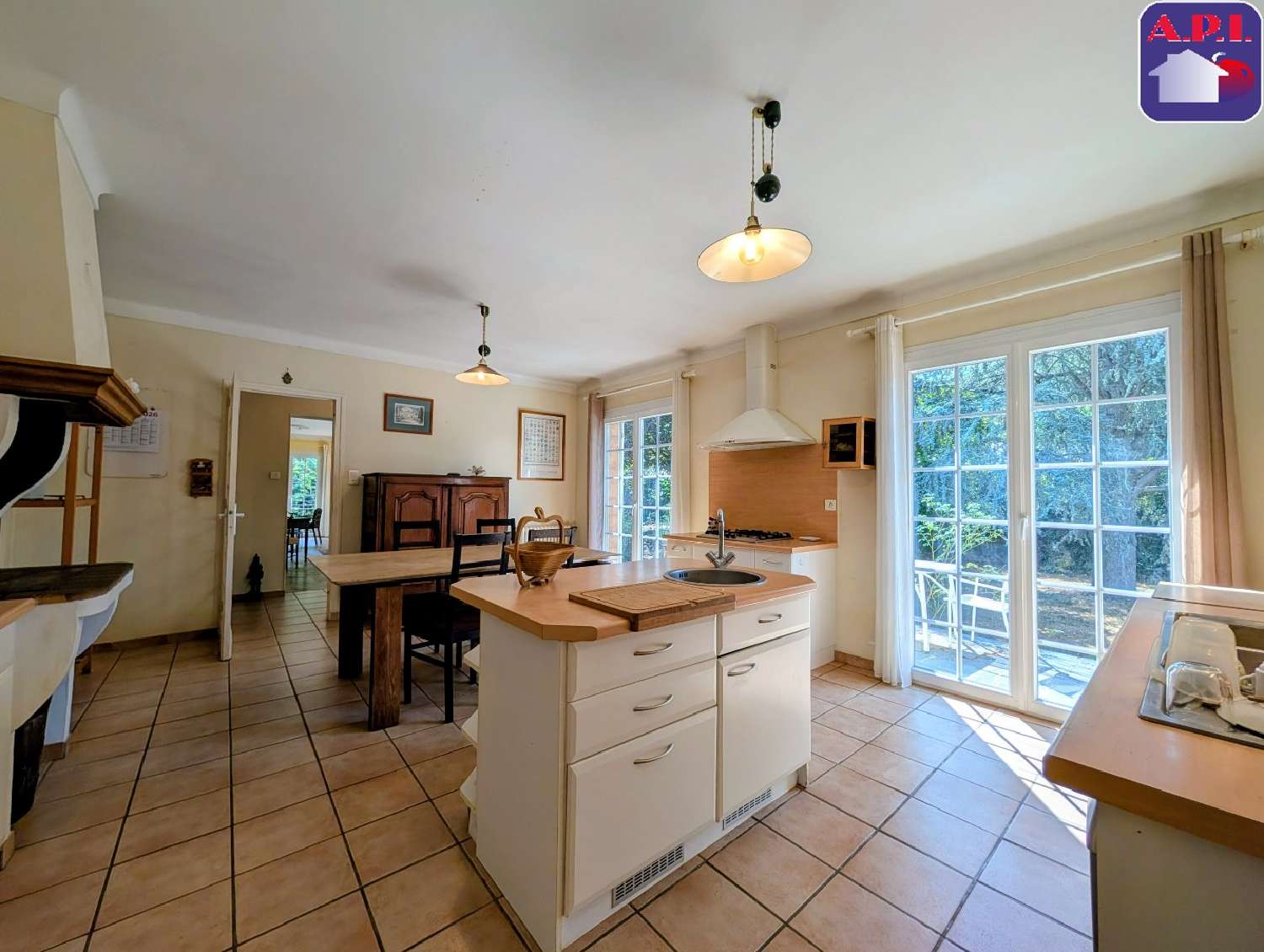 à vendre maison Lesparrou Ariège 6