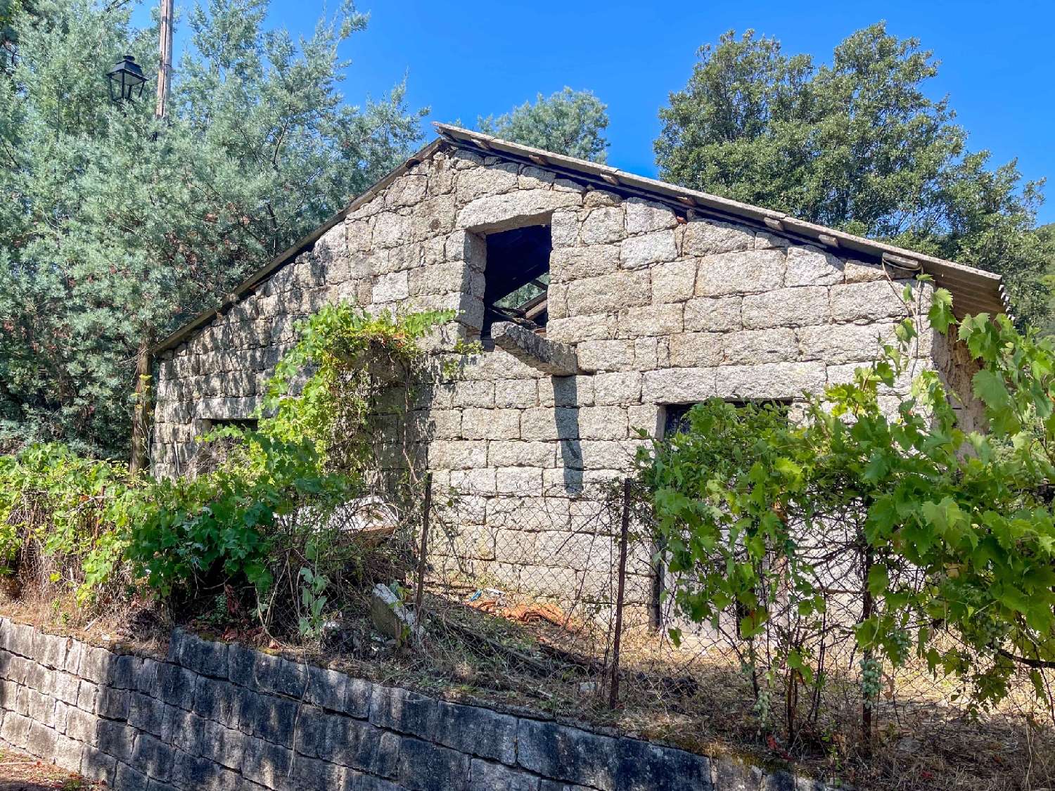  à vendre maison Levie Corse-du-Sud 2