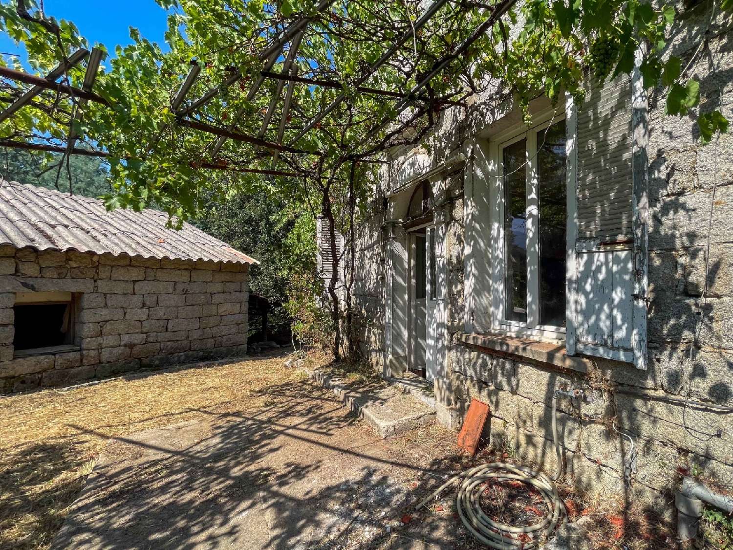  à vendre maison Levie Corse-du-Sud 4