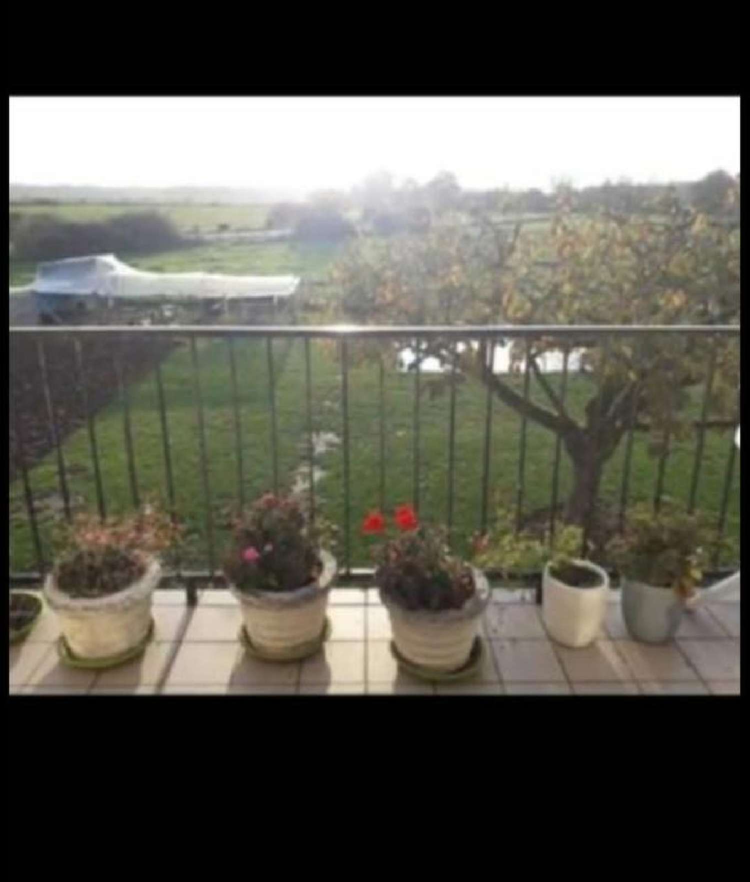  kaufen Haus Louze Haute-Marne 4