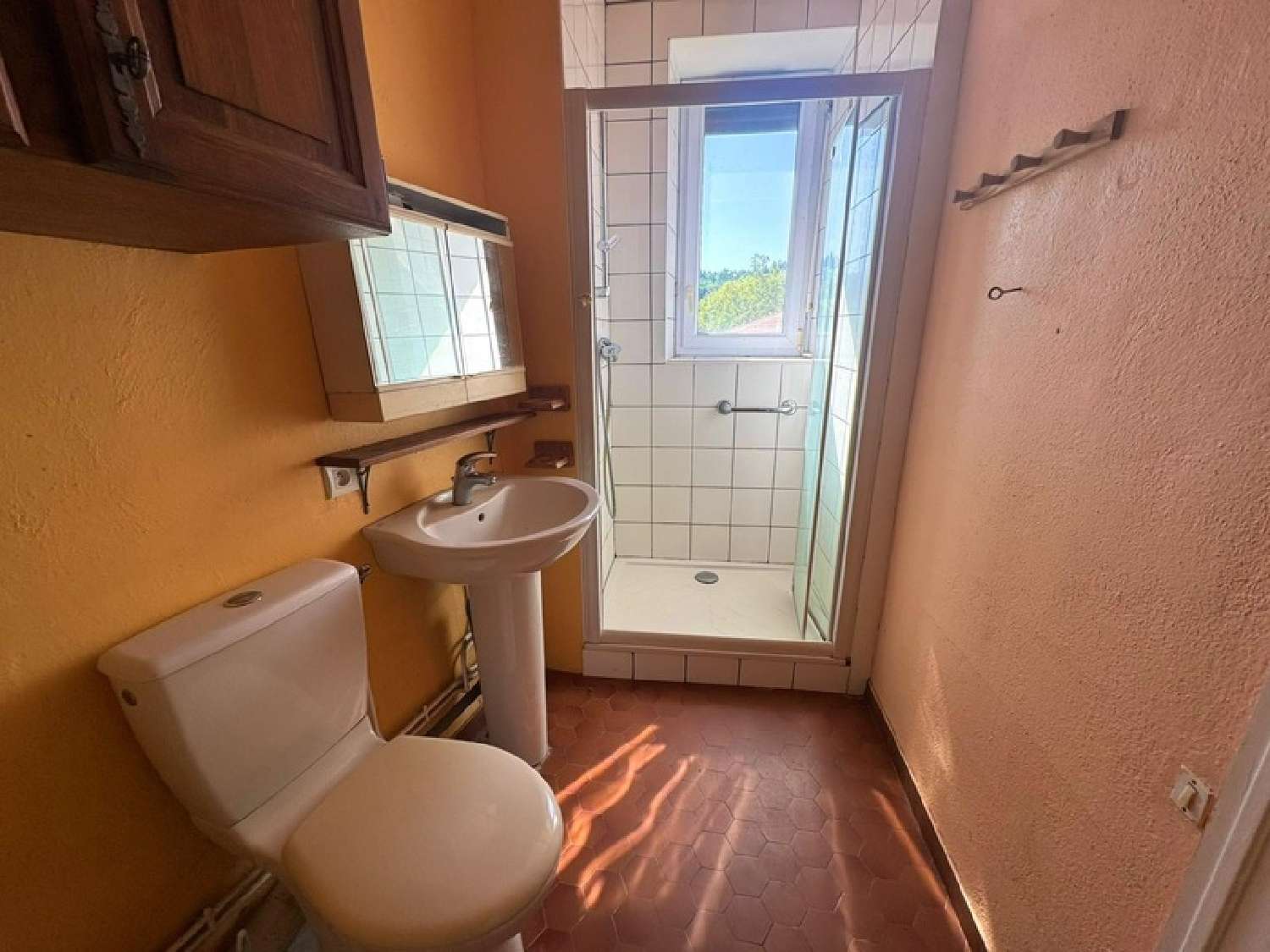 te koop huis Luriecq Loire 5