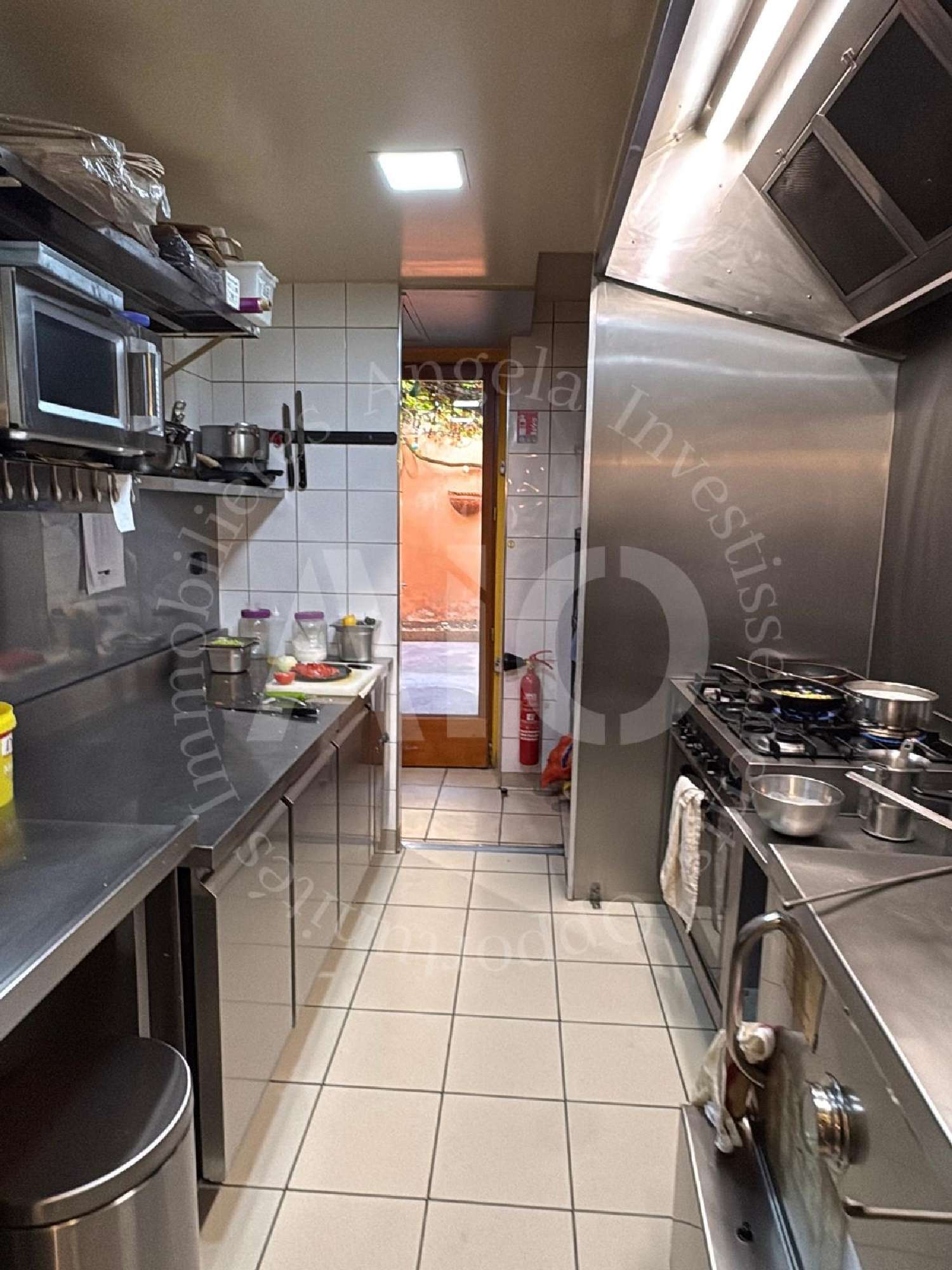 à vendre maison Lyon 1er Arrondissement Rhône 8