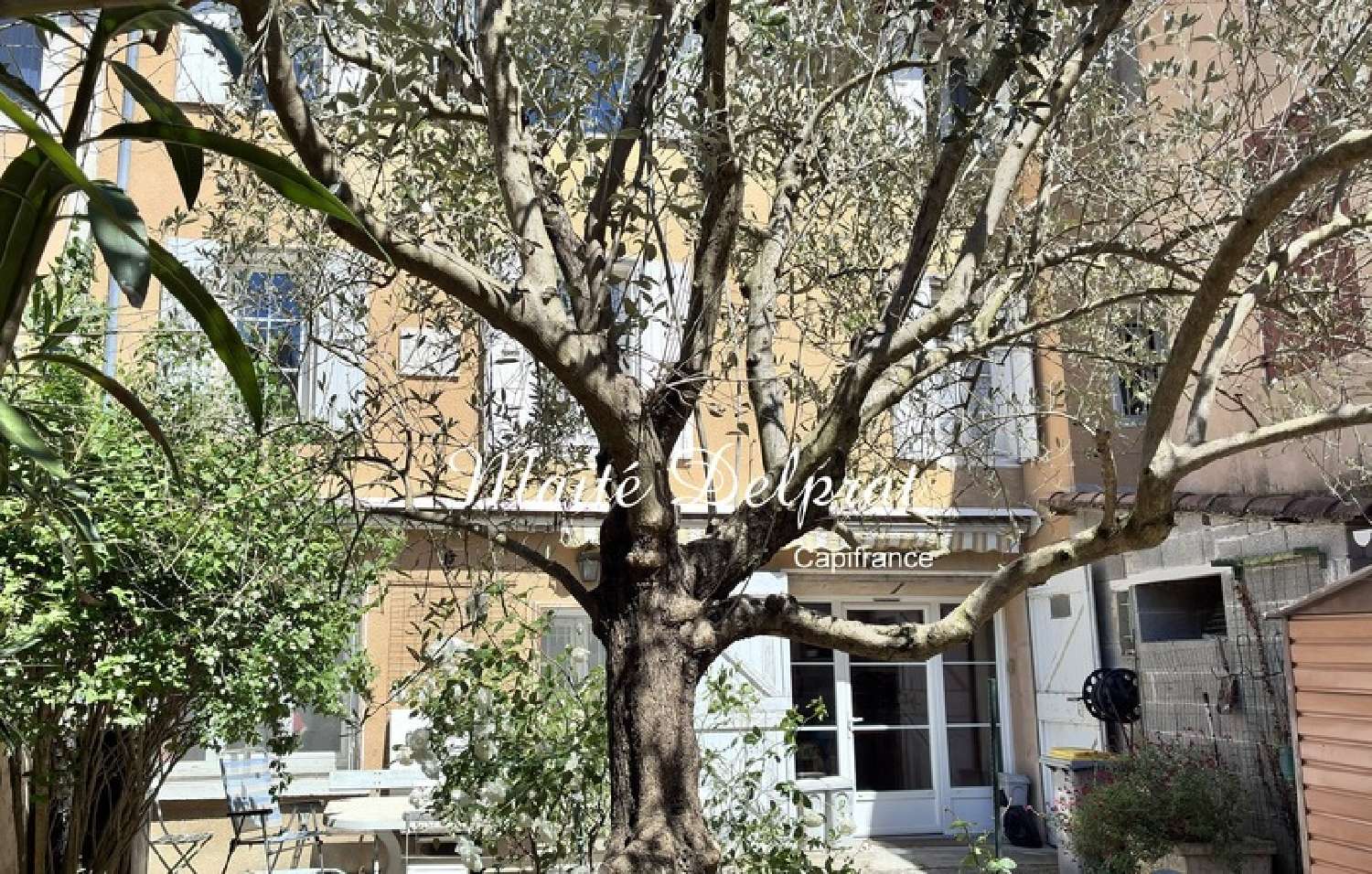 kaufen Haus Malaucène Vaucluse 1