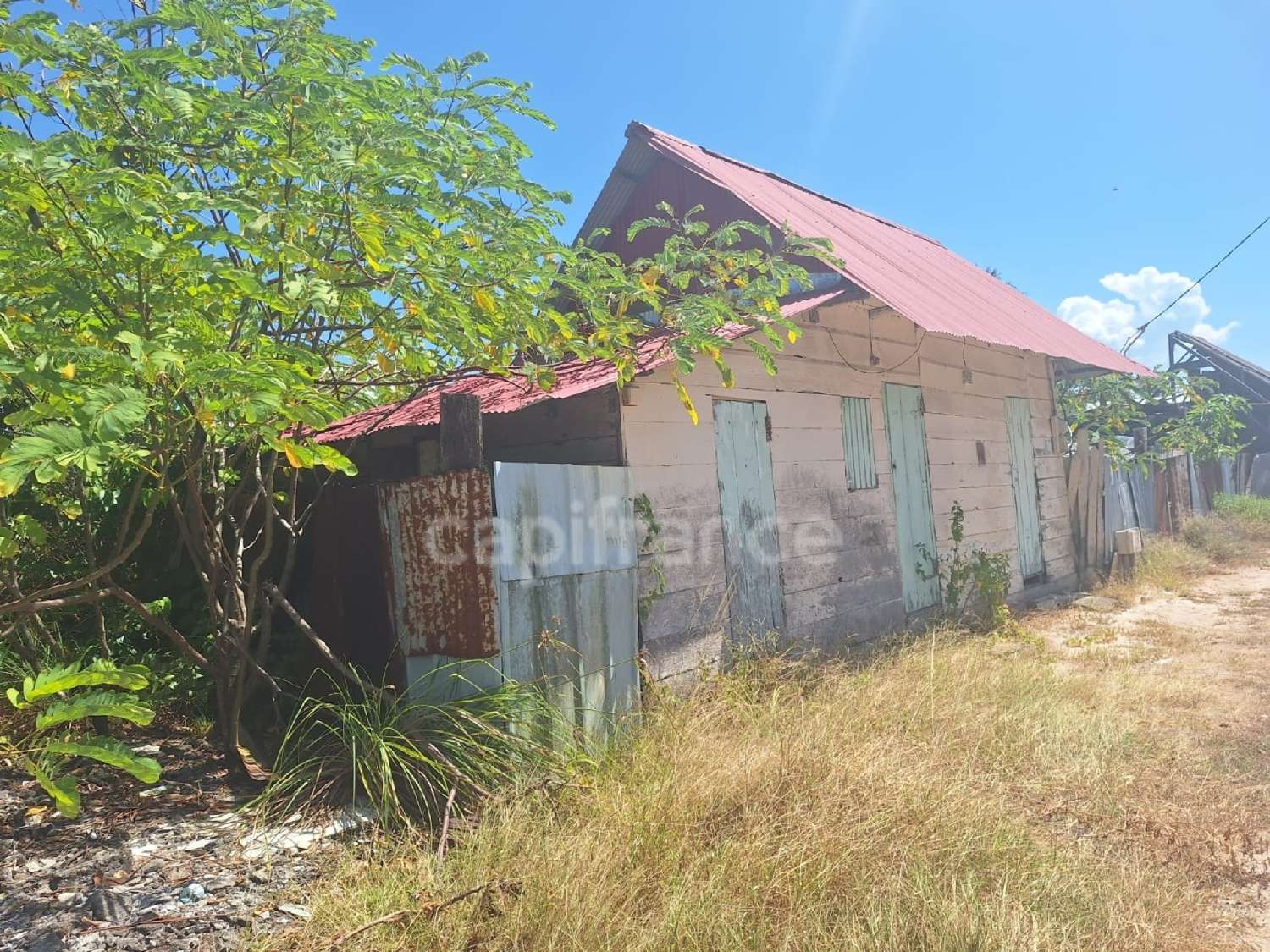 for sale house Mana Guyane 3