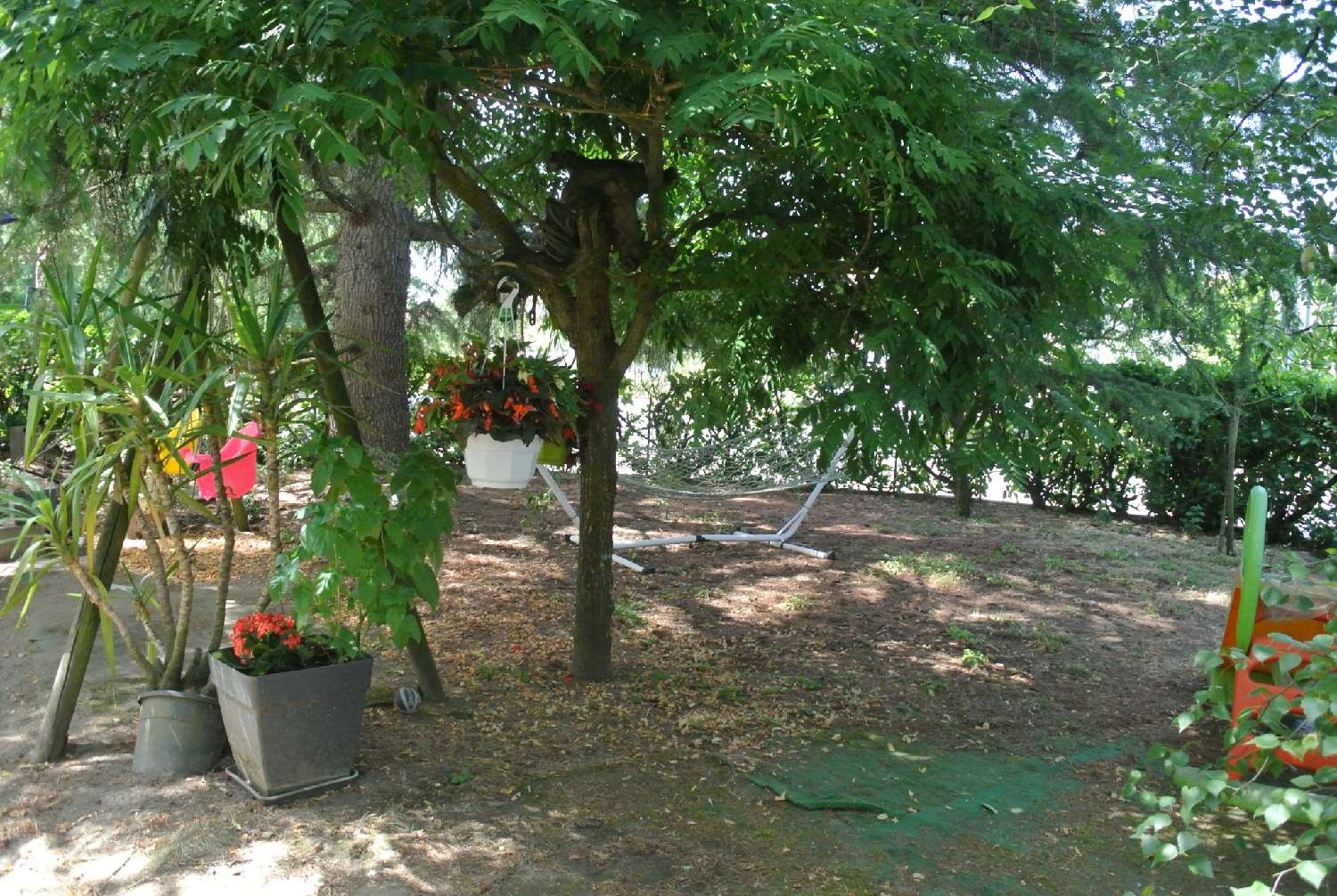 for sale house Marmande Lot-et-Garonne 8