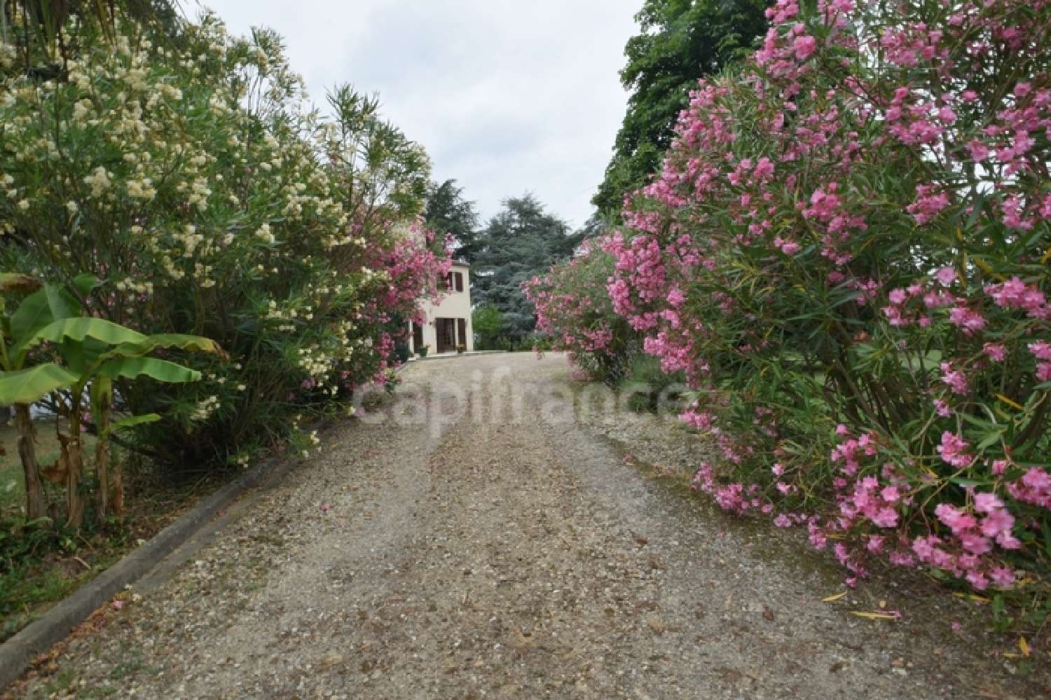 for sale house Meilhan-sur-Garonne Lot-et-Garonne 2