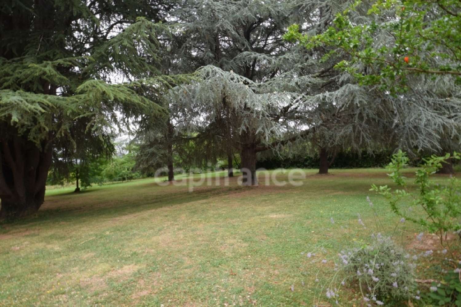 for sale house Meilhan-sur-Garonne Lot-et-Garonne 6