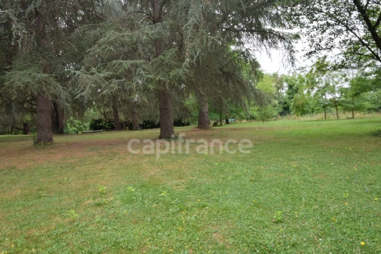 for sale house Meilhan-sur-Garonne Lot-et-Garonne 7