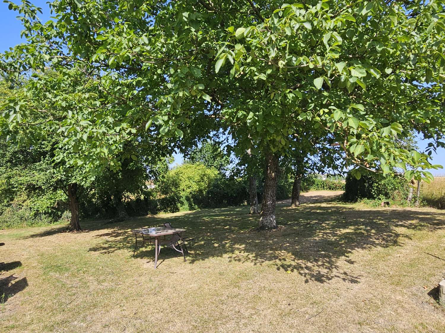  à vendre maison Mertrud Haute-Marne 4