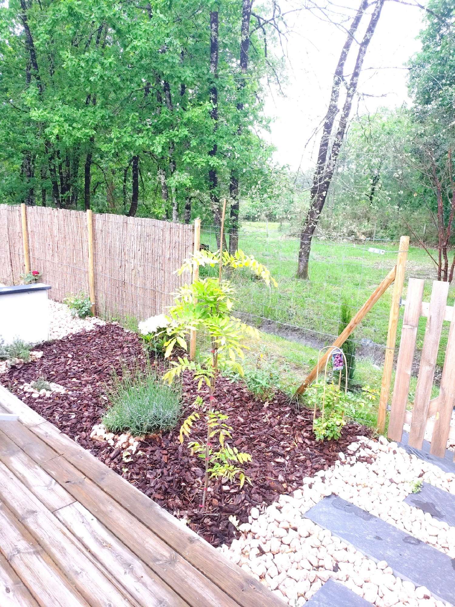 à vendre maison Mios Gironde 8