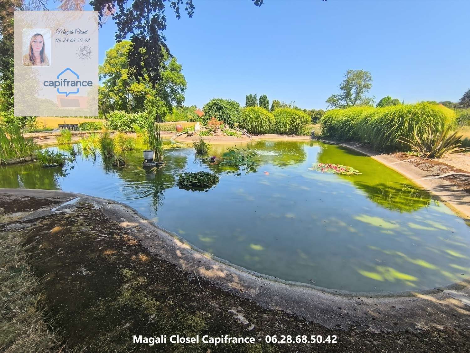  à vendre maison Mont-lès-Seurre Saône-et-Loire 7
