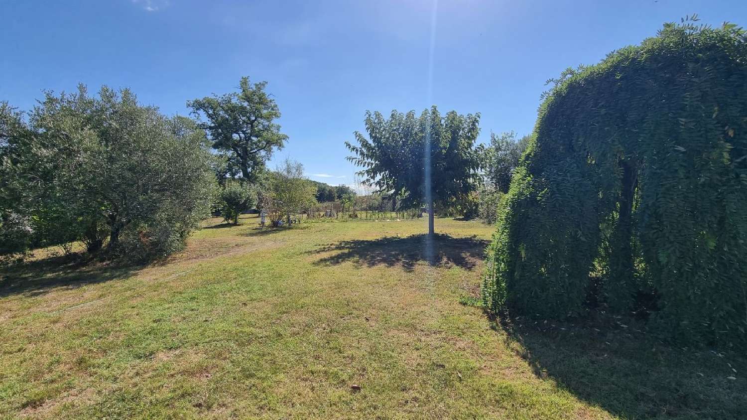 kaufen Haus Montastruc-la-Conseillère Haute-Garonne 1