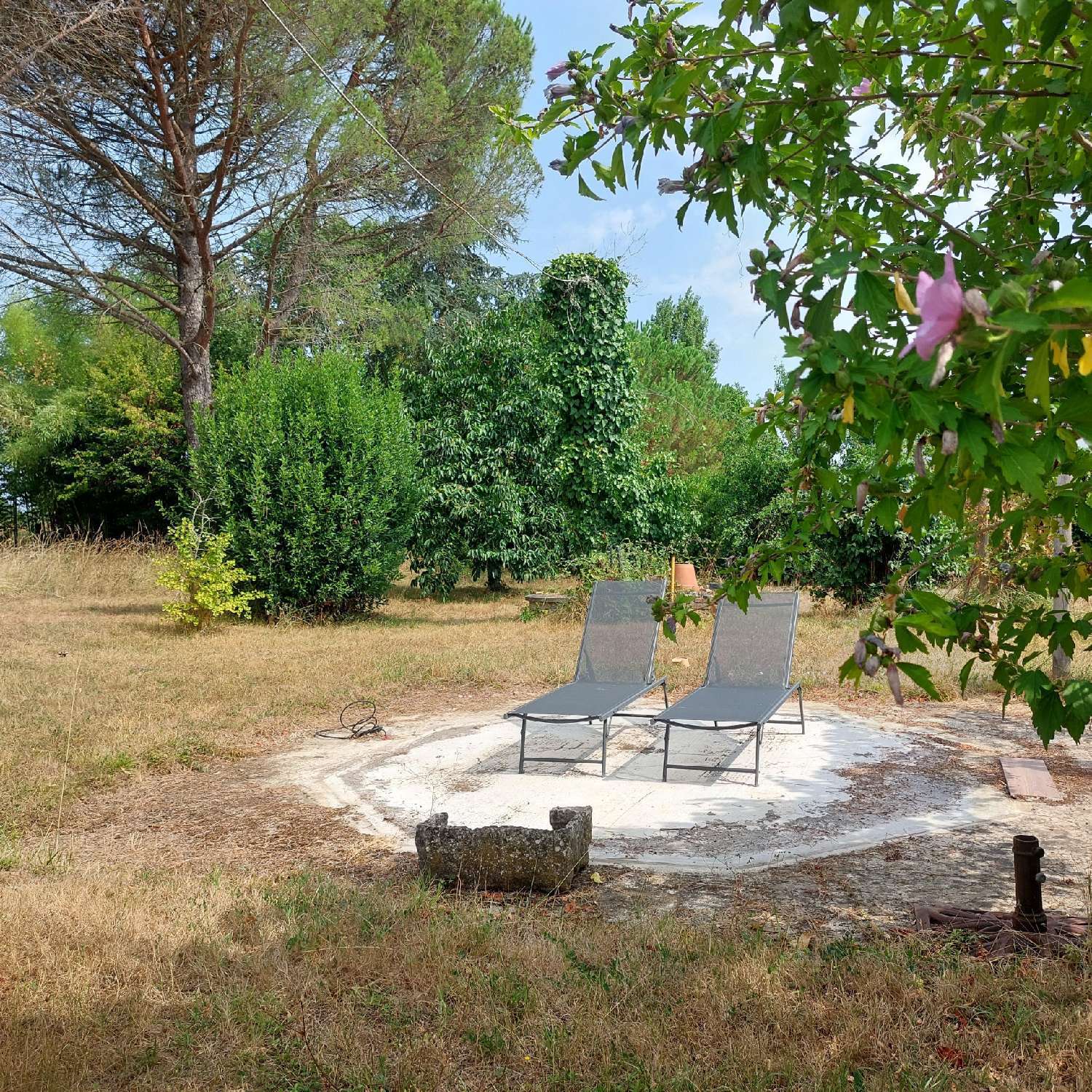 for sale house Montauban Tarn-et-Garonne 4