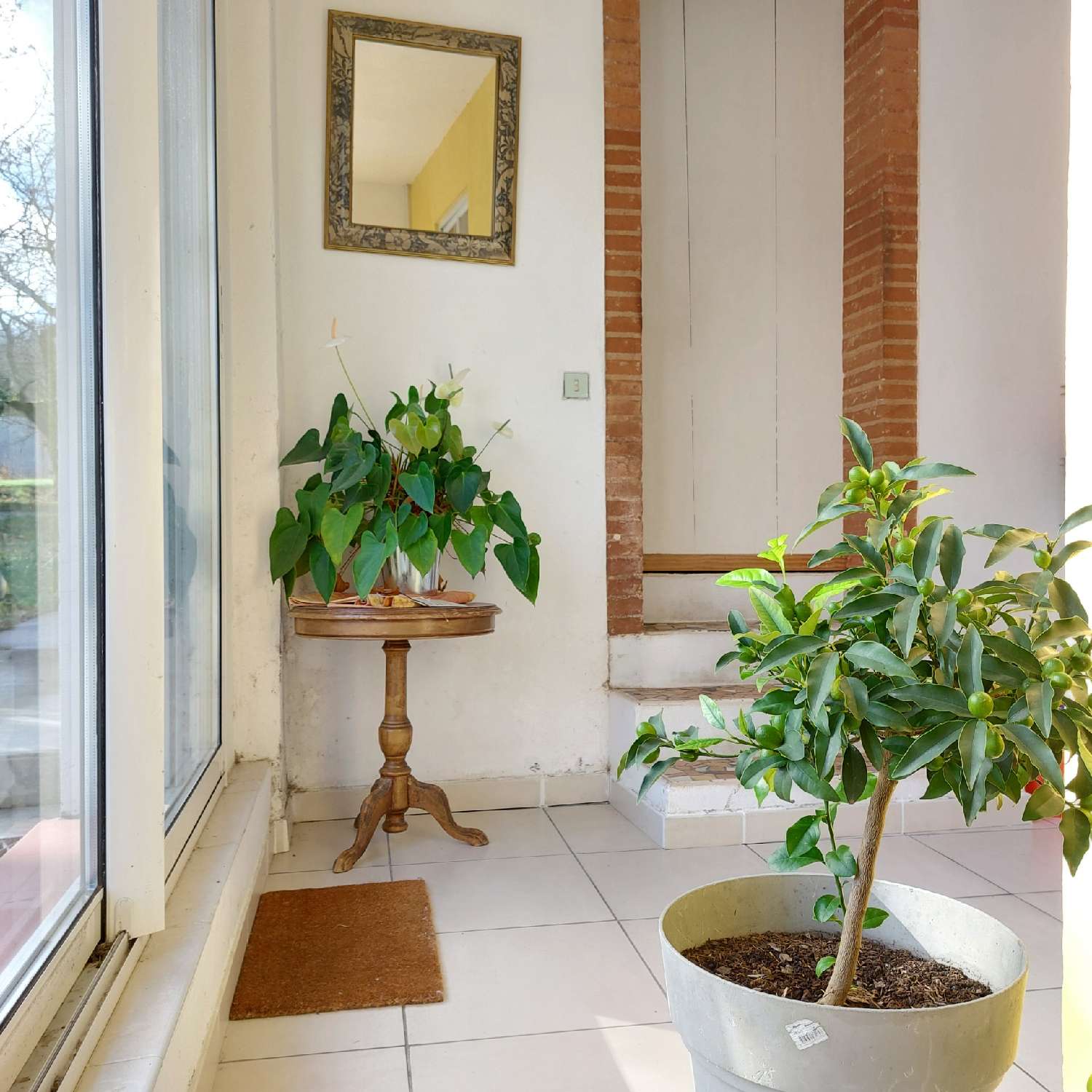 for sale house Montauban Tarn-et-Garonne 5
