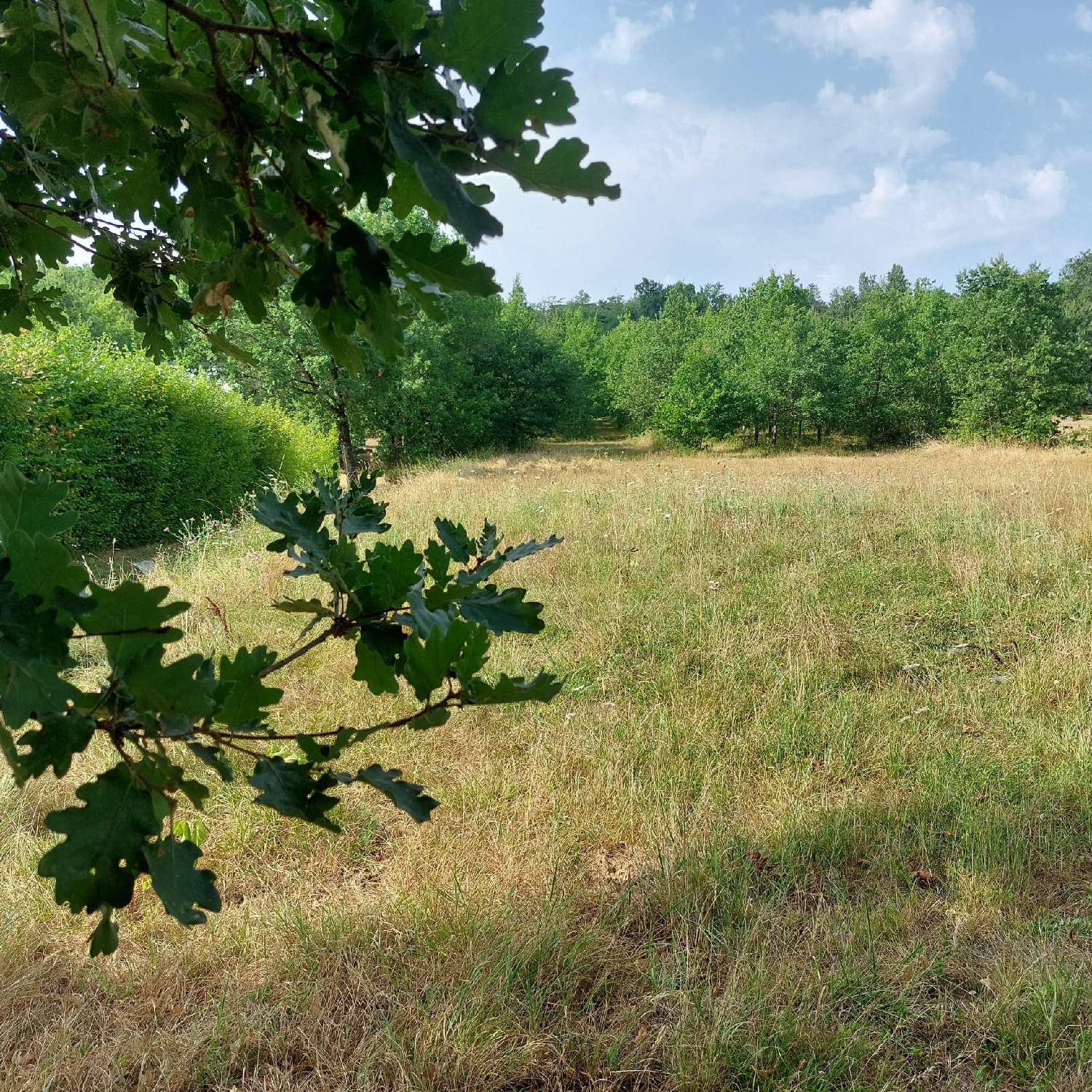 for sale house Montauban Tarn-et-Garonne 8
