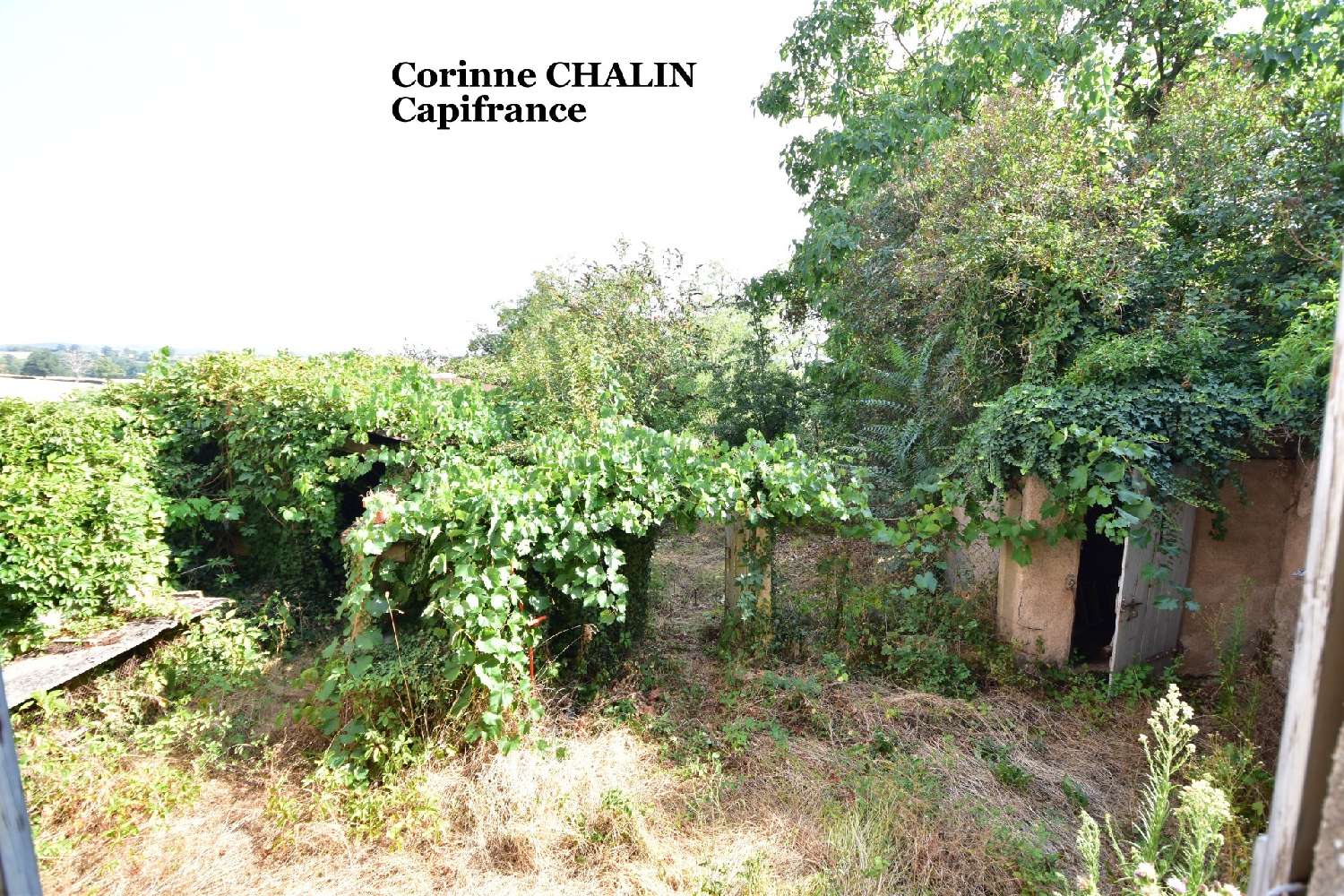  for sale house Montcombroux-les-Mines Allier 6