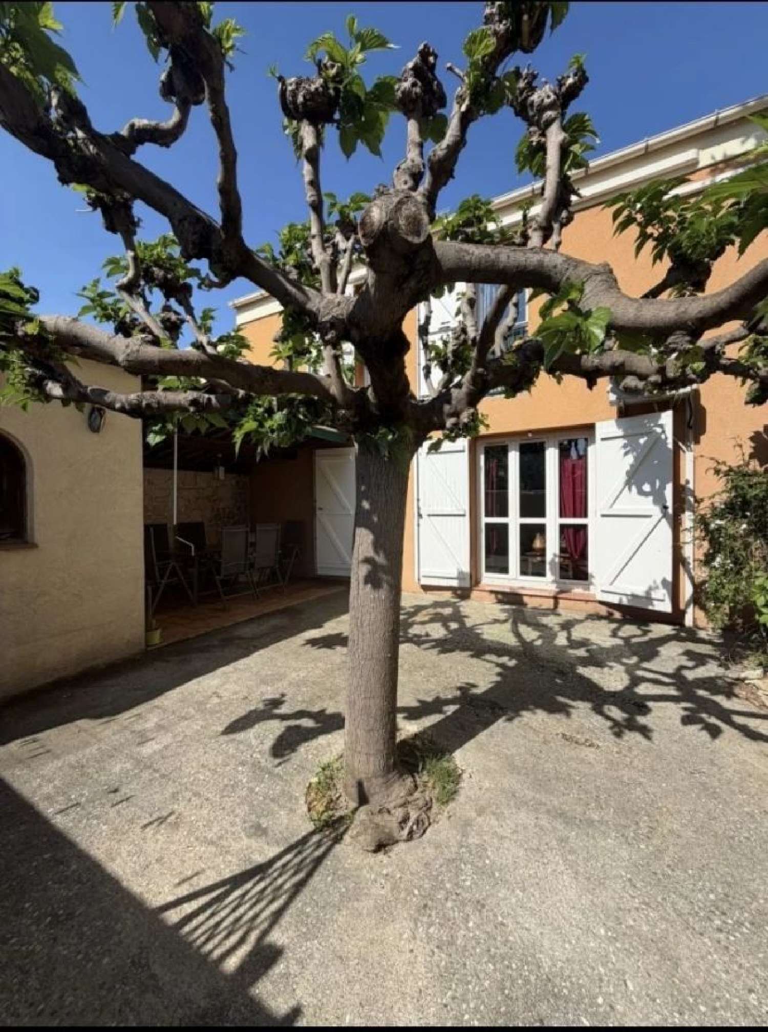  te koop huis Montfavet Vaucluse 1