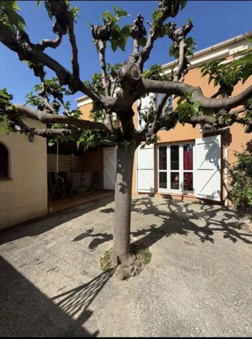 Montfavet Vaucluse huis foto