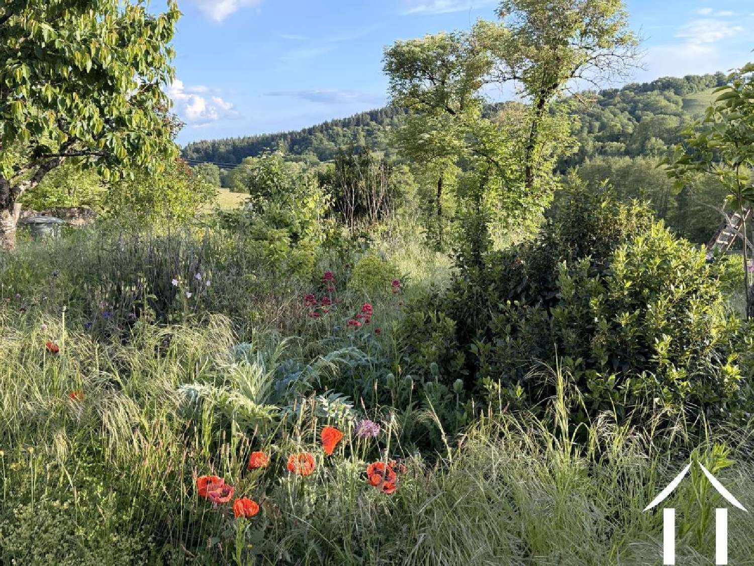 te koop huis Montmort Saône-et-Loire 8