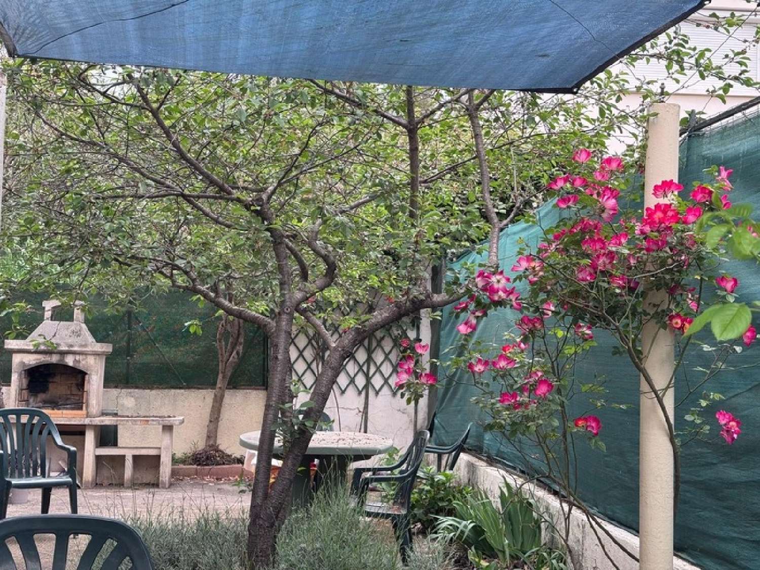 for sale house Montpellier Hérault 4