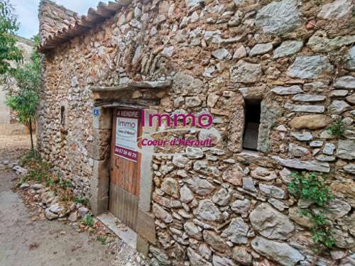 Montpeyroux Hérault Haus Bild 7384645