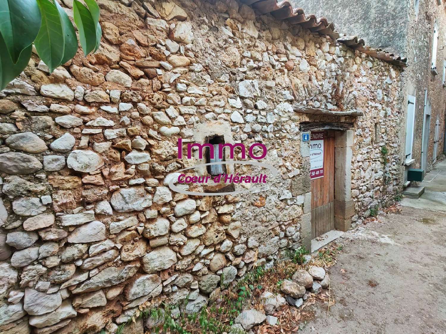 kaufen Haus Montpeyroux Hérault 3