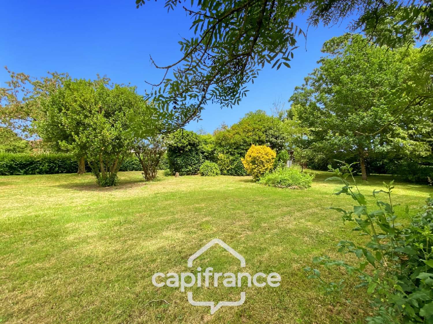 for sale house Moroges Saône-et-Loire 3