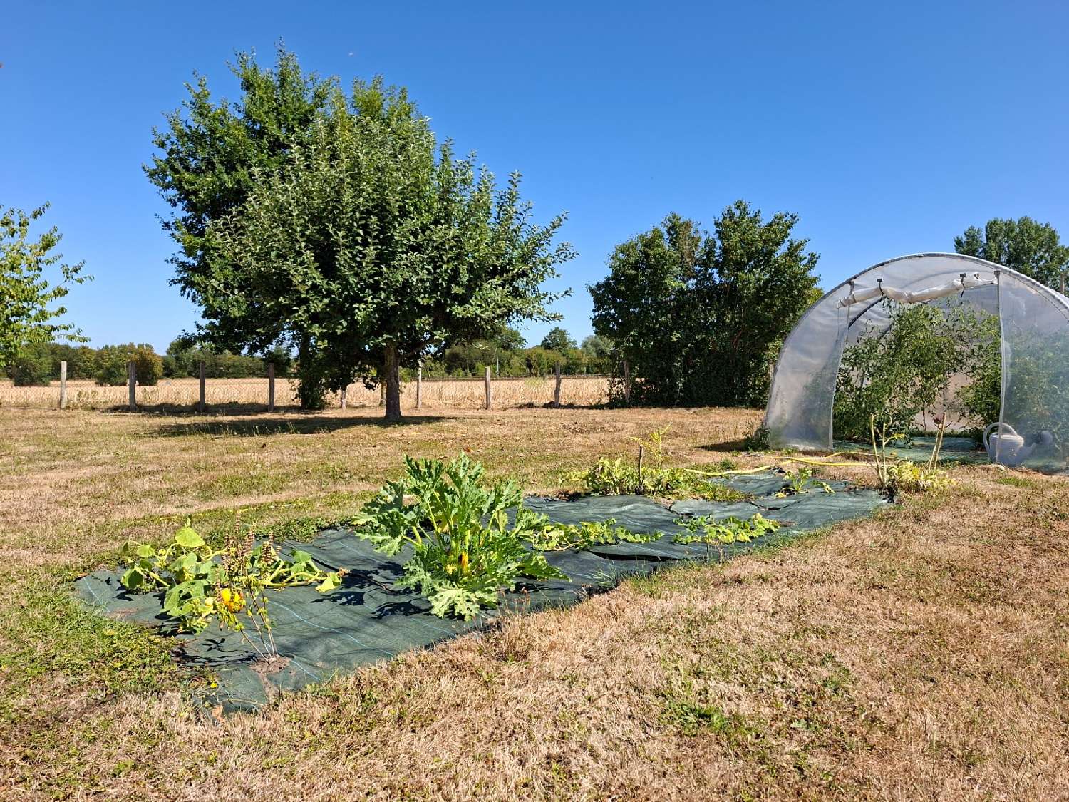  à vendre maison Mortagne-au-Perche Orne 2