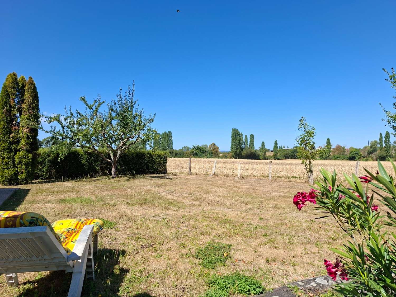  à vendre maison Mortagne-au-Perche Orne 3