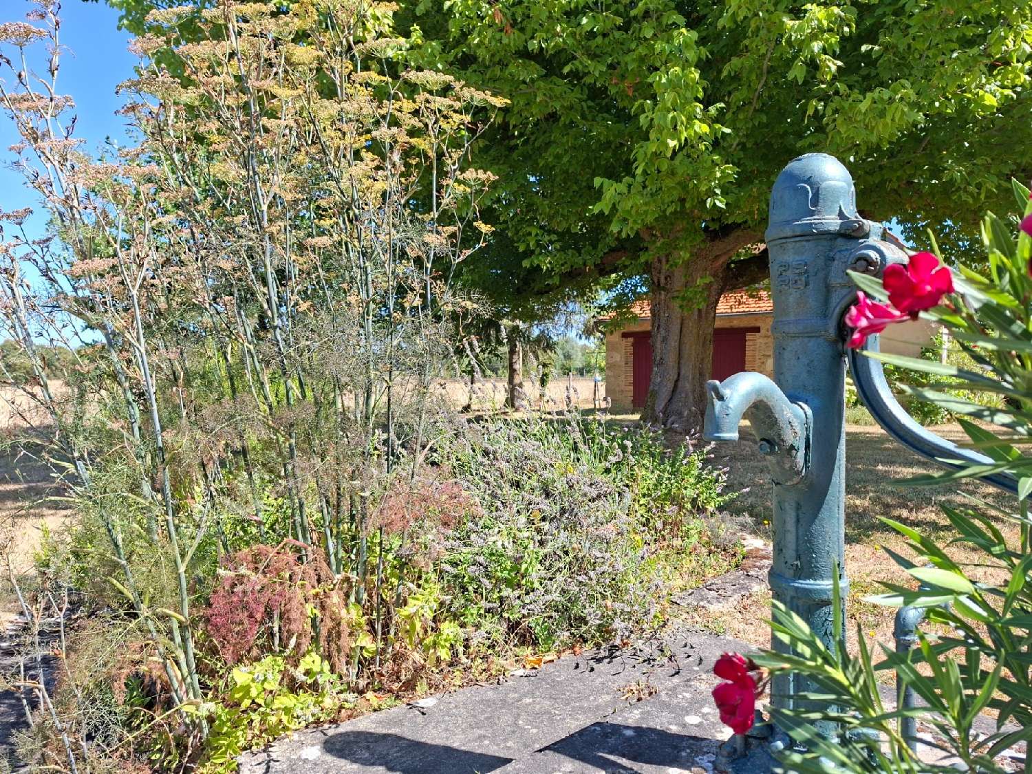  à vendre maison Mortagne-au-Perche Orne 5