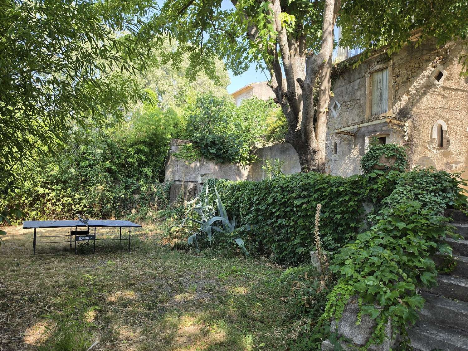  à vendre maison Néffiès Hérault 3