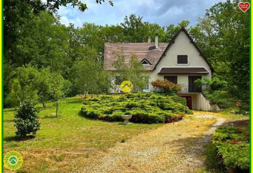 Neuvy-sur-Barangeon Cher house foto 7392749