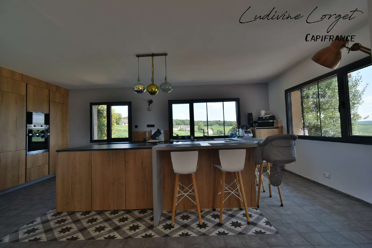  for sale house Nogent-l'Artaud Aisne 4