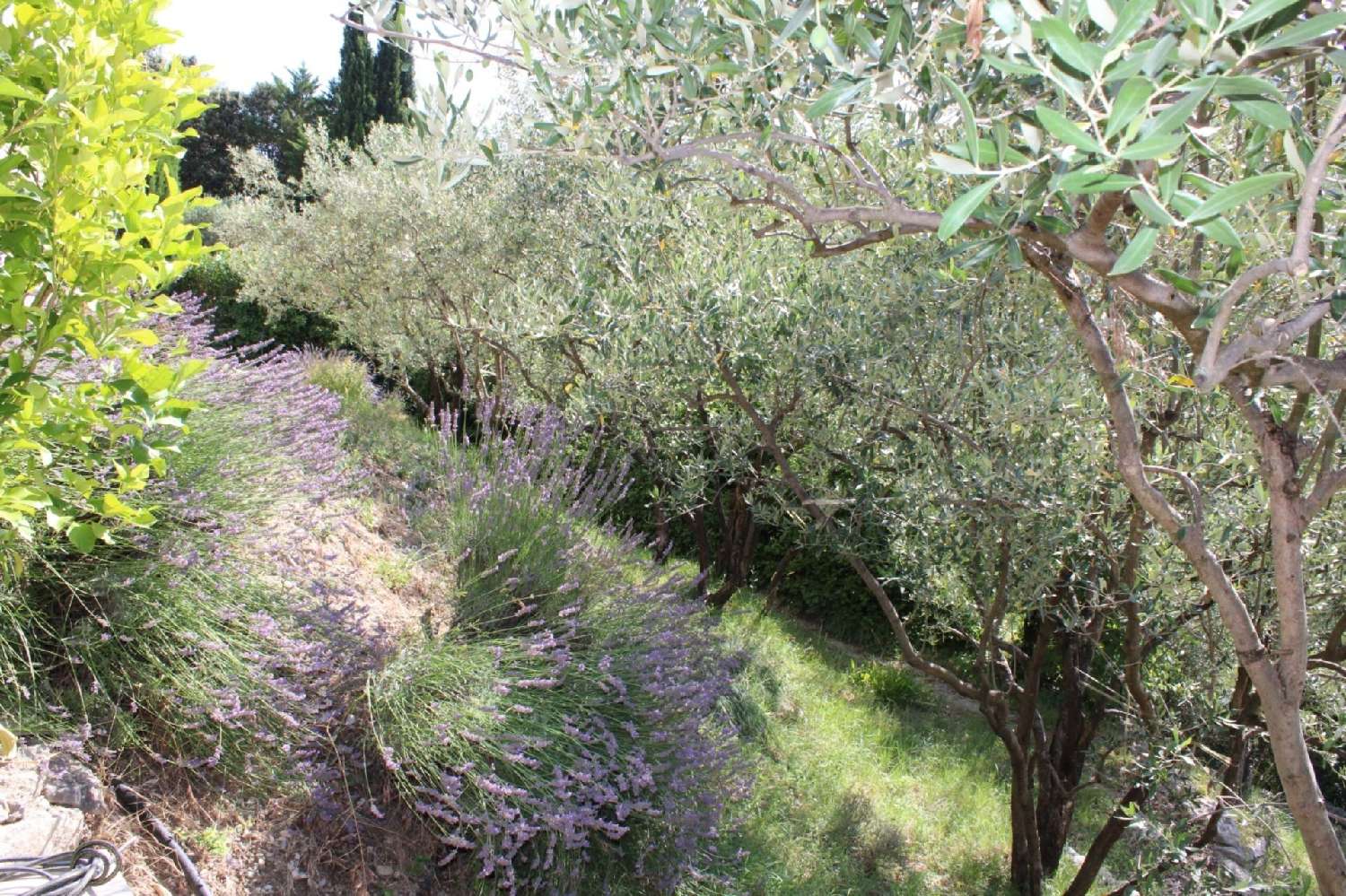  à vendre maison Nyons Drôme 6