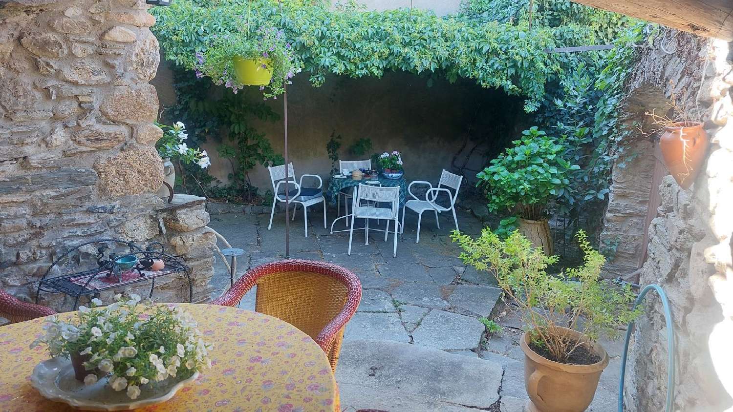  kaufen Haus Olargues Hérault 1