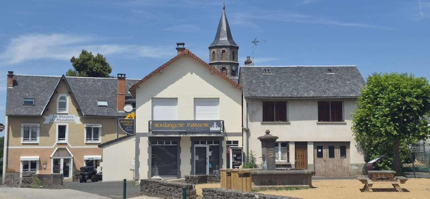 à vendre maison Olby Puy-de-Dôme 7