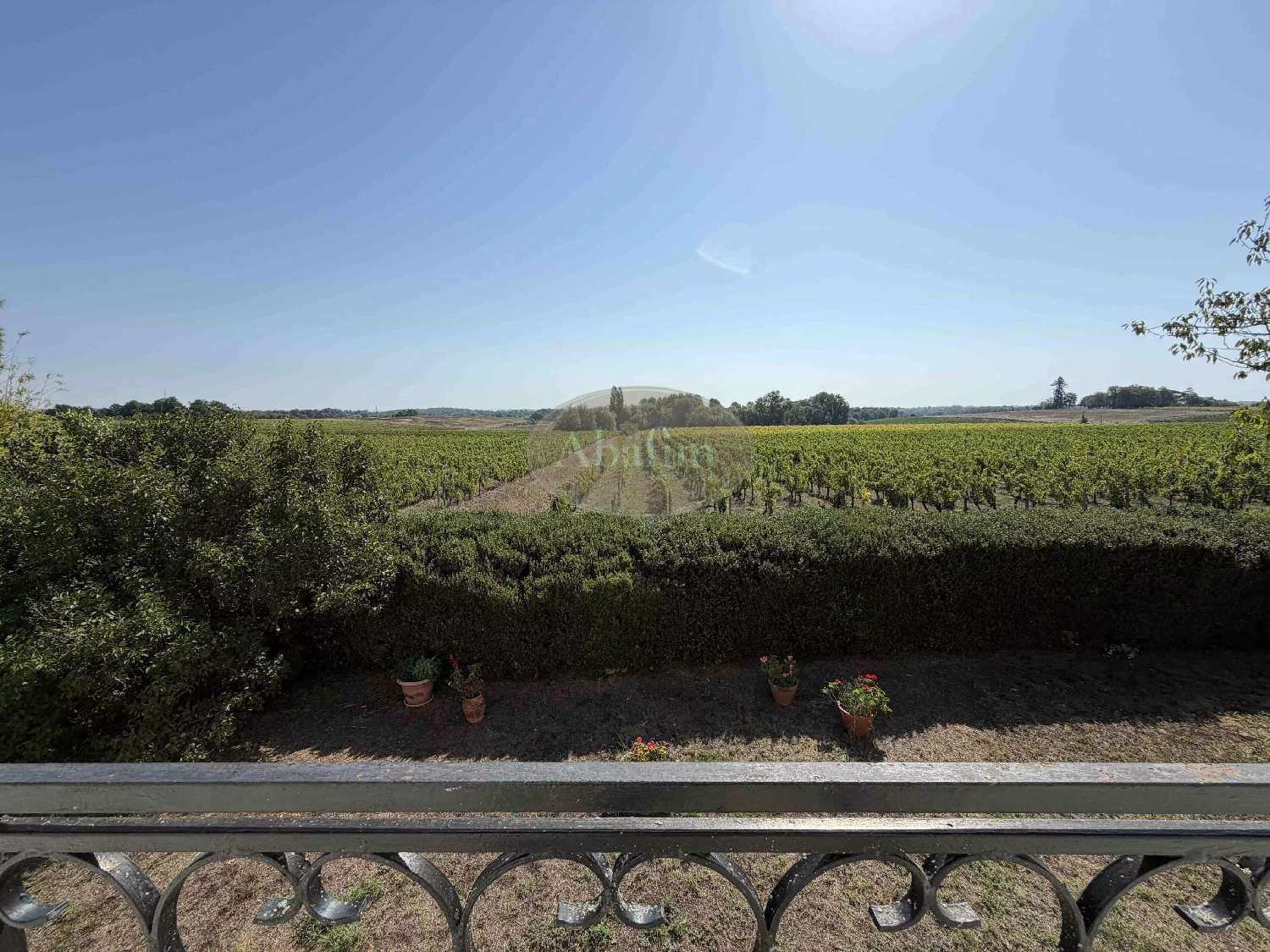  for sale house Ordonnac Gironde 4