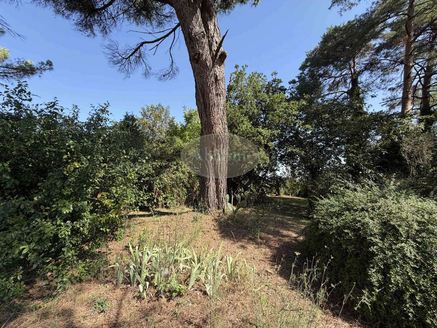  for sale house Ordonnac Gironde 5